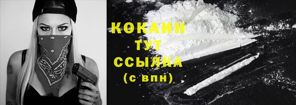 стаф Кукмор