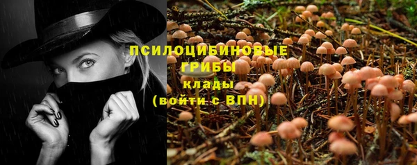 2c-b Куйбышев
