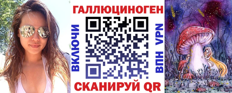 Купить  Волосово  Псилоцибиновые грибы Psilocybine cubensis 
